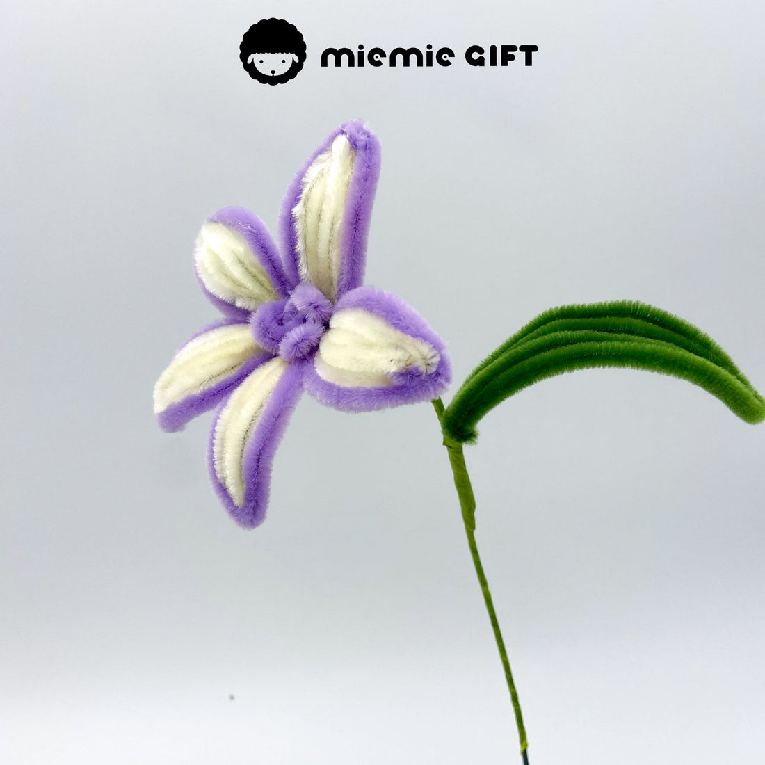 Easy DIY Pipe Cleaner Flower Craft: Two-Tone Lily Tutorial