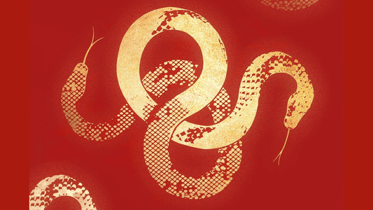 The Snake Zodiac in Chinese Astrology: Meaning, Fortune & Avoiding Bad Luck in 2025