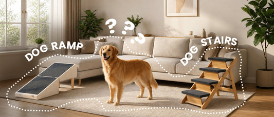 Golden retriever standing between a dog ramp and dog stairs in a cozy living room comparison scene.