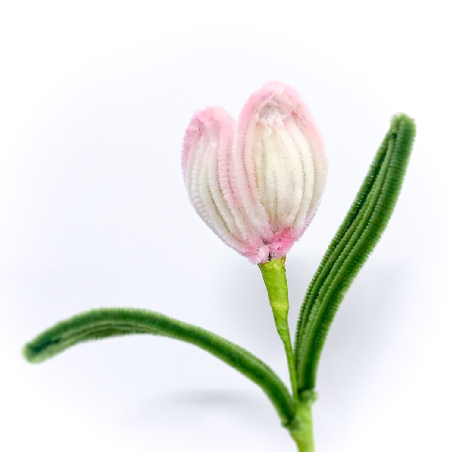 Elegant white and pink tulip crafted from high-quality pipe cleaners, designed for DIY flower arrangements and everlasting floral decor.