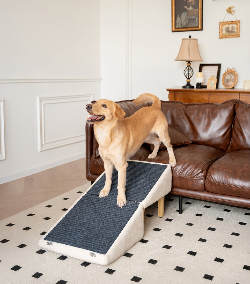 Dog using a furniture-style ottoman dog ramp to climb onto a leather couch.