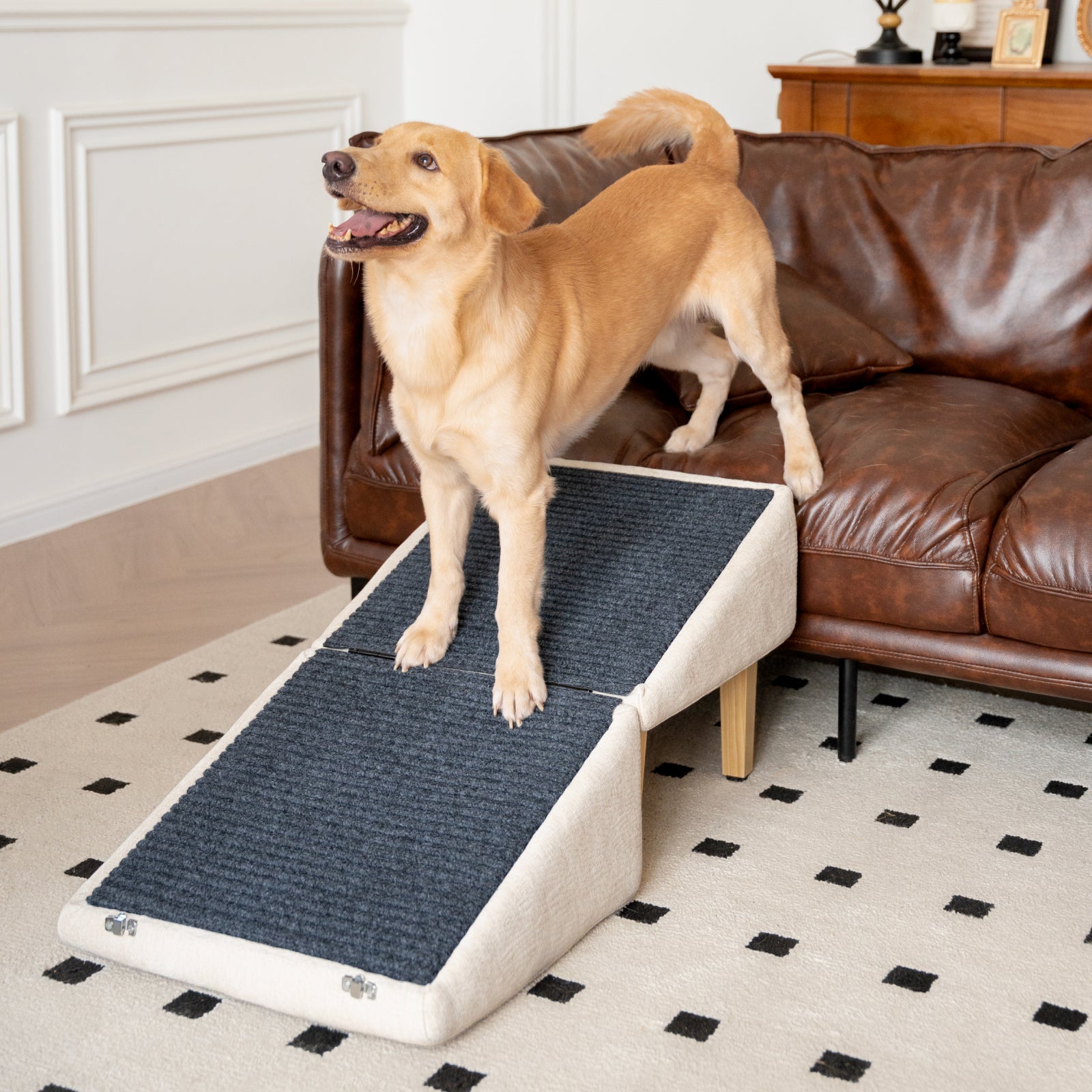 A happy small dog climbing a beige dog ramp attached to an ottoman in a cozy living room. The ramp is softly carpeted and leads up to a gray sofa. The ottoman features hidden storage with a lifted lid, revealing pet toys and a folded blanket inside. The room has warm lighting, wooden floors, and neutral-toned décor, creating a calm and pet-friendly atmosphere.