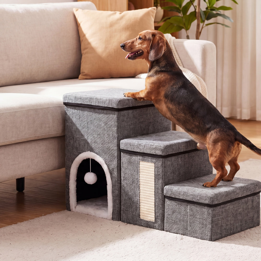 Dachshund climbing 3-step foldable pet stairs beside a couch, designed to help small dogs, short-legged dogs, senior pets, and cats reach higher spots.
