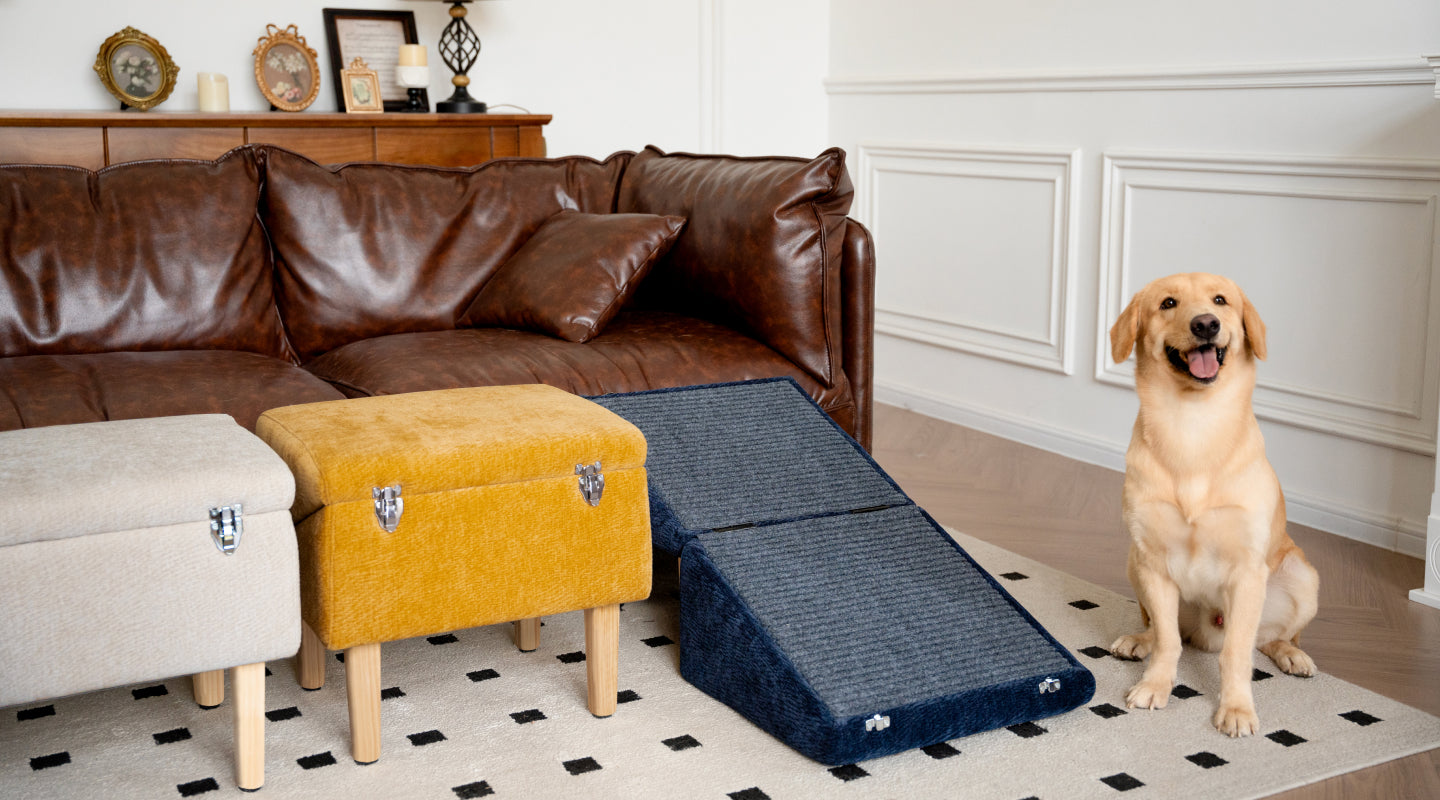 A Golden Retriever sits beside a blue dog ramp leading to a leather couch, with beige and mustard versions folded as ottomans.