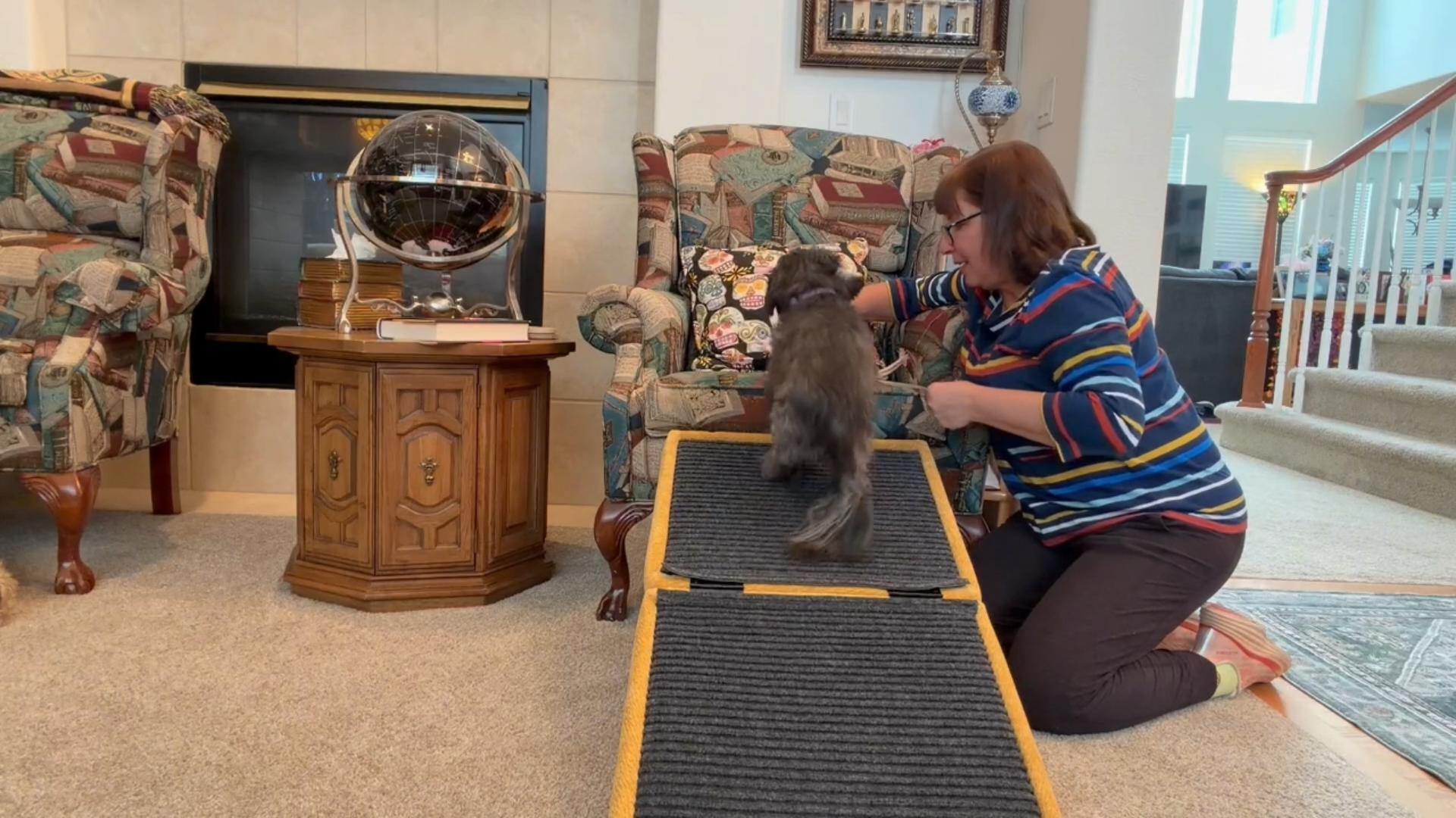 Pet Furniture & Gifts for Dogs, Cats & Cozy Homes | MieMie's