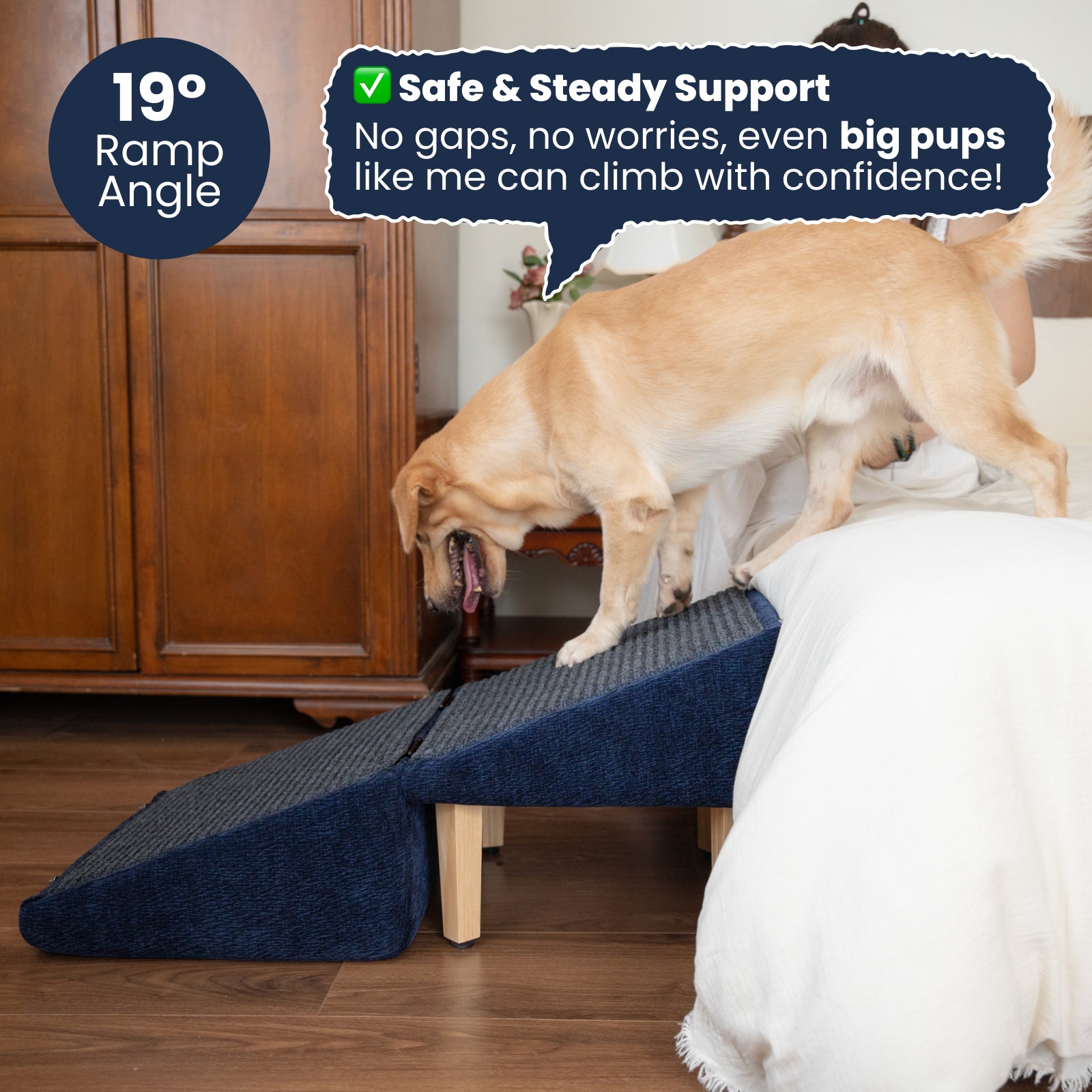 A large golden retriever confidently climbing a dark blue dog ramp onto a white bed, assisted by a steady 19° incline. The ramp has wooden support legs and a textured anti-slip surface. A text bubble in the image reads “Safe & Steady Support,” emphasizing the gap-free structure. The background includes a warm-toned wooden cabinet and hardwood floors, creating a cozy bedroom environment.
