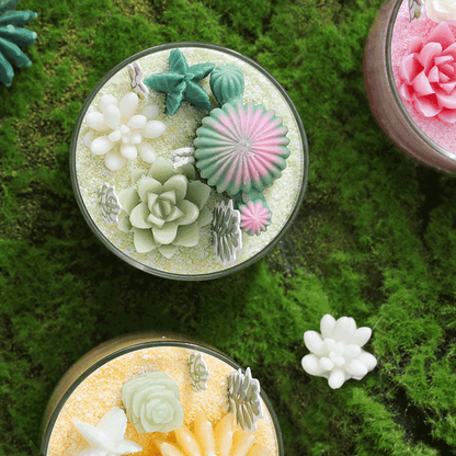 miemie gift DIY succulent sand candle for aromatherapy and decor green sand-painting inspirated