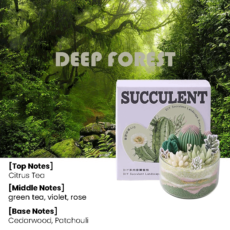 miemie gift deep forest Scent Custom DIY aromatherapy candle with plant-shaped wax and colorful sand home décor DIY kit deep forest