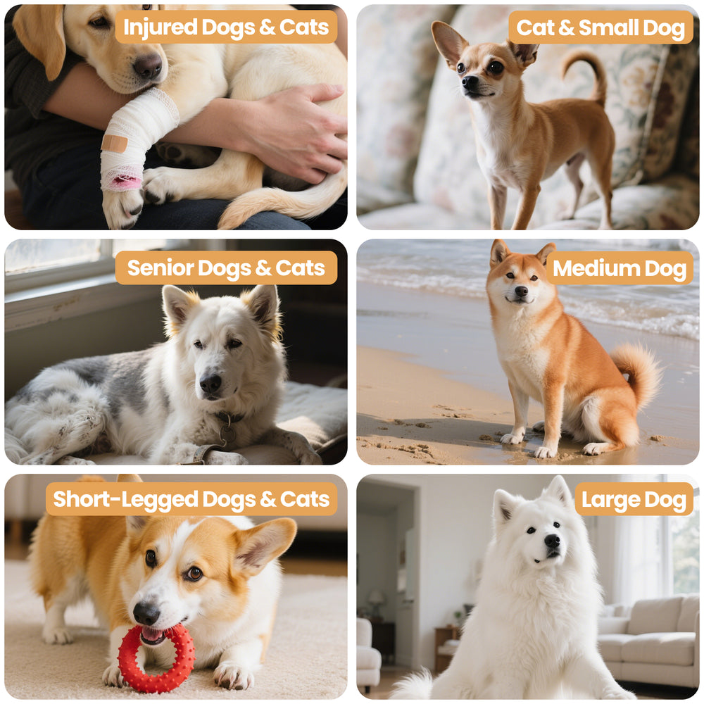 A comparison image from miemie’s corner showing six types of pets that benefit from using a dog ramp: injured dogs and cats, cats and small dogs, senior dogs and cats, medium dogs, short-legged breeds, and large dogs. Each segment includes a labeled pet photo, helping owners identify suitability for their furry friends.