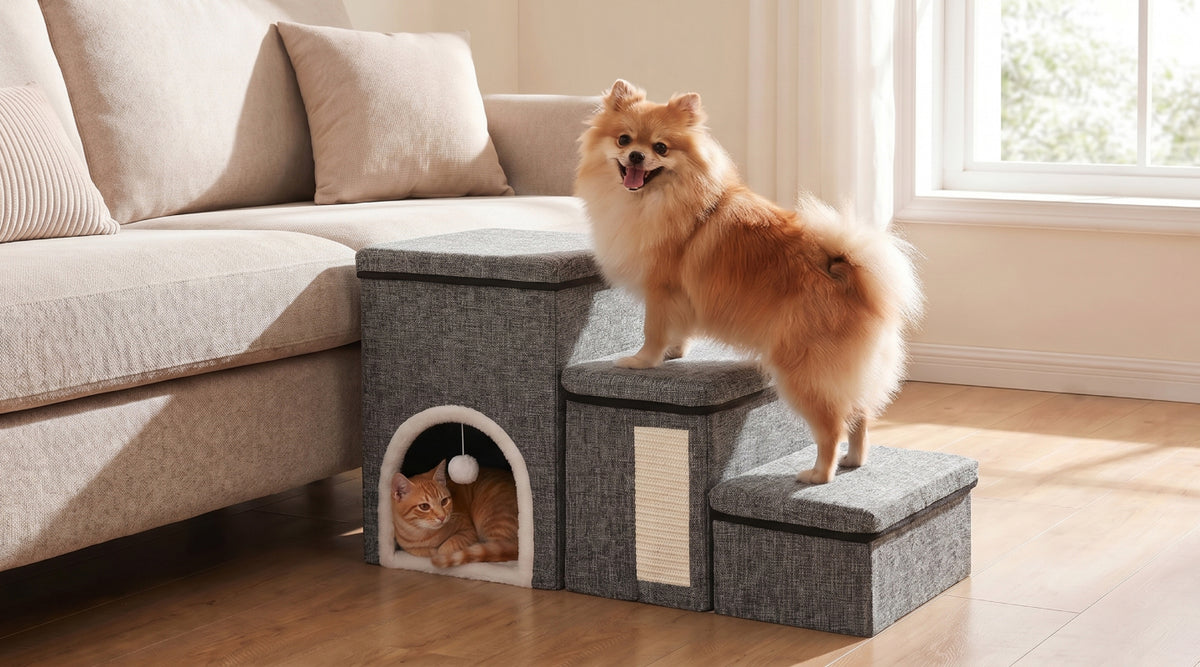 A fluffy tan dog stands on a gray fabric pet staircase and scratching platform placed beside a beige sofa in a bright living room. A cat is visible inside the arched lower compartment of the pet house.