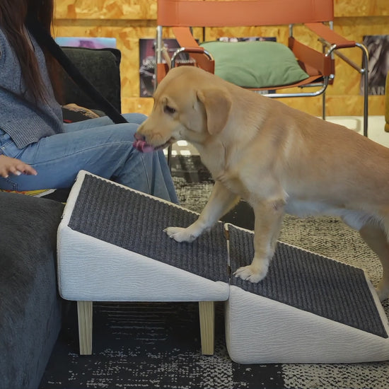 MieMie’s Corner dog ramp for couch and bed in a furniture-grade 3-in-1 ottoman—seat, hidden storage, easy setup, non-slip foam padding, solid pine, holds 220 lbs