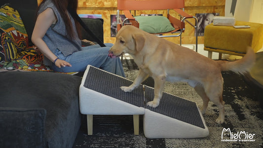 MieMie’s Corner dog ramp for couch and bed in a furniture-grade 3-in-1 ottoman—seat, hidden storage, easy setup, non-slip foam padding, solid pine, holds 220 lbs