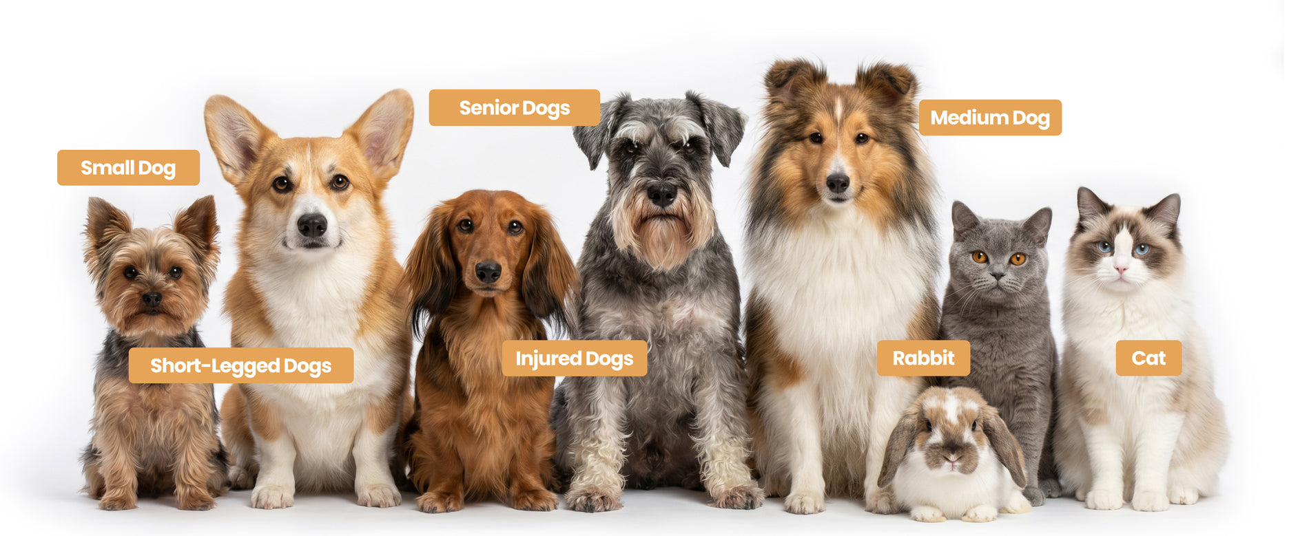 Foldable pet stairs suitable for small dogs, short-legged dogs, senior pets, injured dogs, cats, and rabbits.